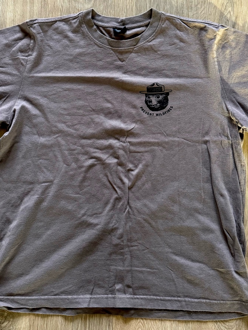 Men's Brown Smoky the Bear Graphic Crewneck T-Shirt - Prevent Wildfires Design